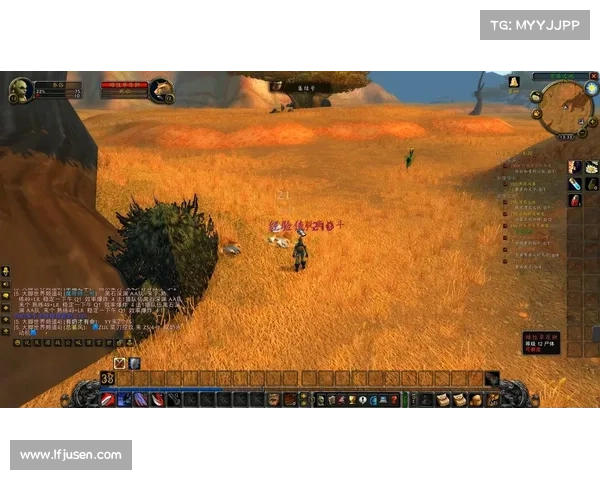 魔兽世界怀旧服：全新视角调整，尽显中心魅力